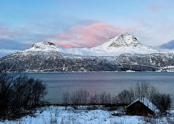 Face Of North