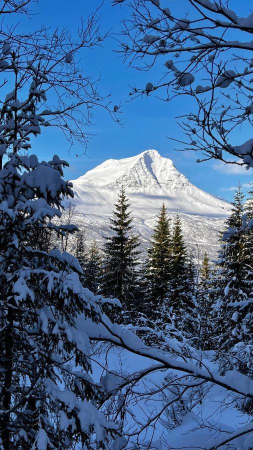 Face Of North * Gratangen